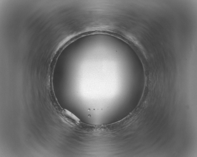 X0000078261316200611171954