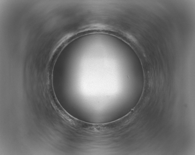 X0000078261318200611171954