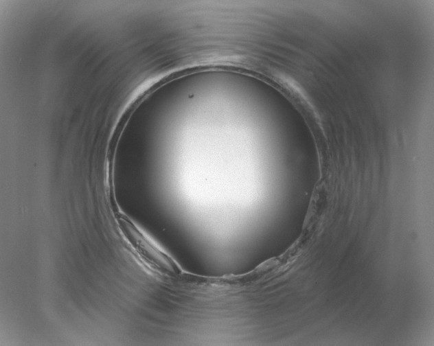 X0000078261324200611171954