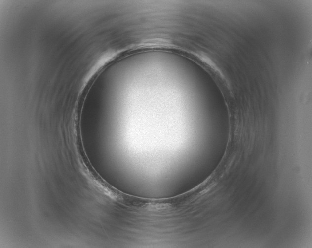 X0000078261325200611171954