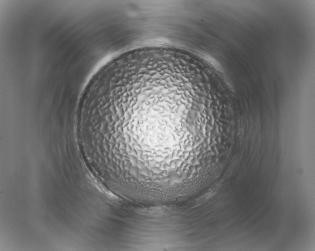 X0000078261326200611171954