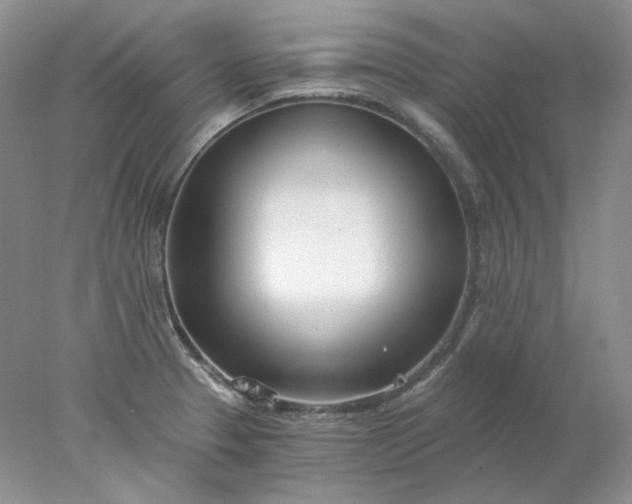 X0000078261329200611171955