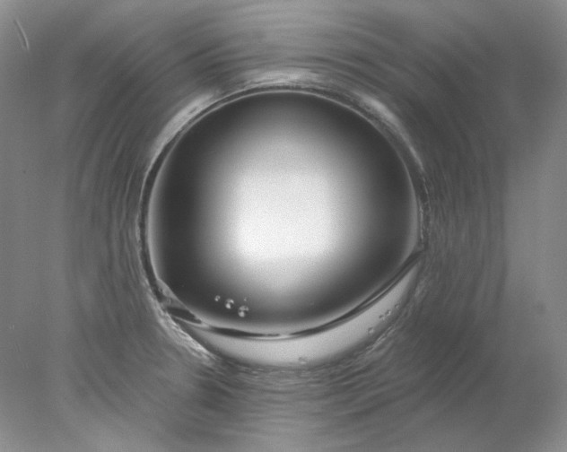 X0000078261330200611171955
