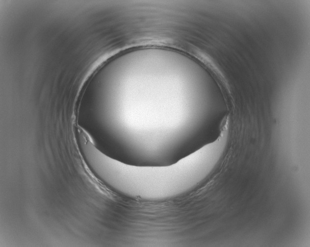 X0000078261332200611171955