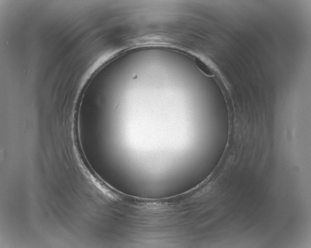 X0000078261333200611171955