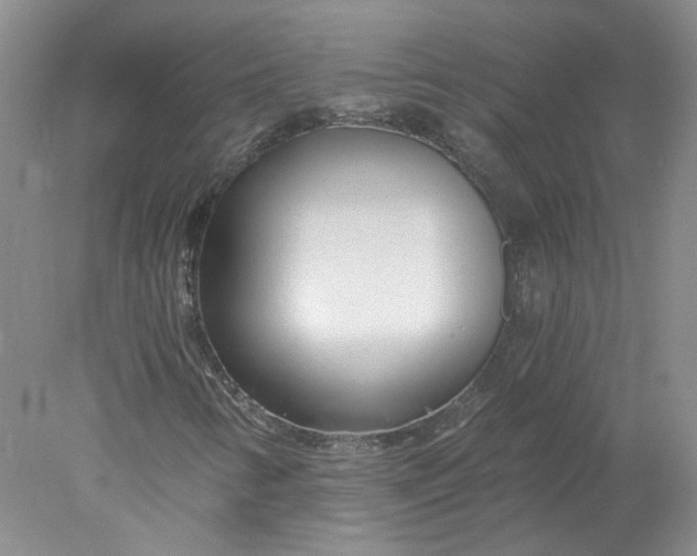 X0000078261346200611171954