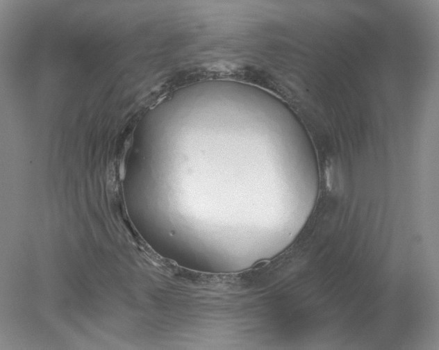 X0000078261347200611171954