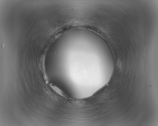 X0000078261348200611171954