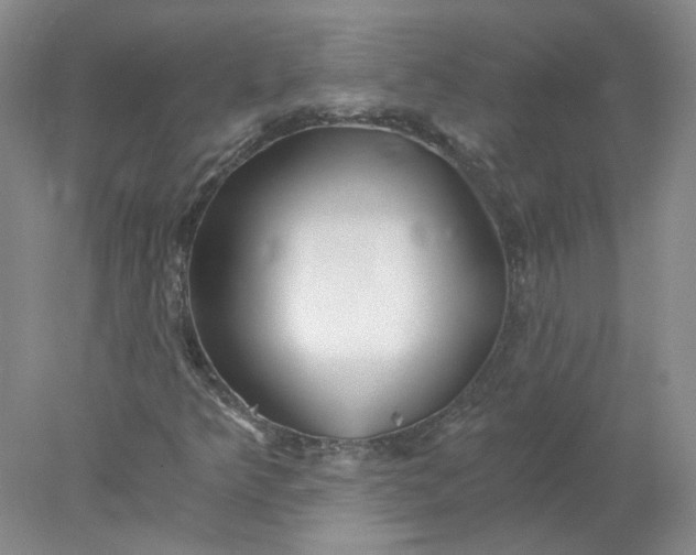 X0000078261349200611171954