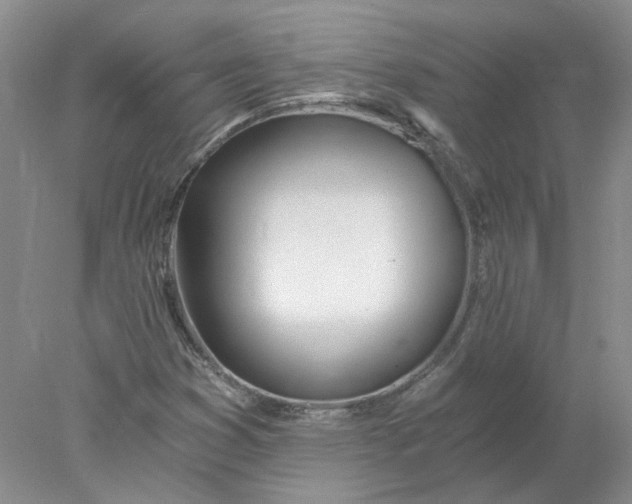 X0000078261353200611171954