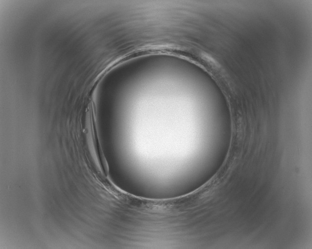 X0000078261361200611171954