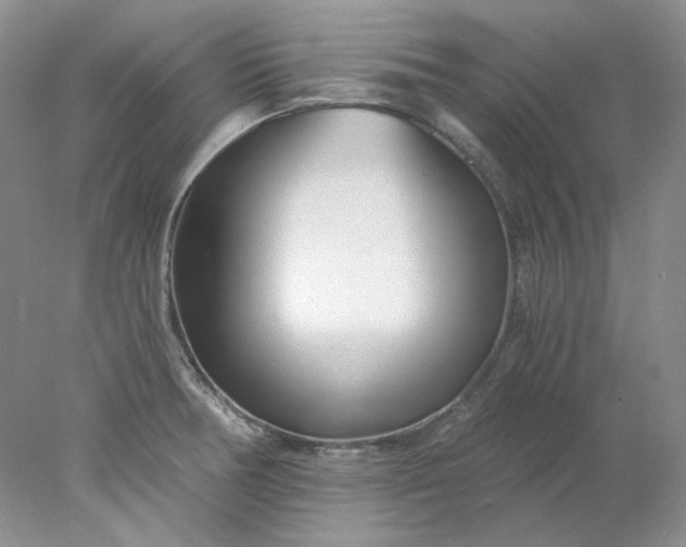X0000078261378200611171953