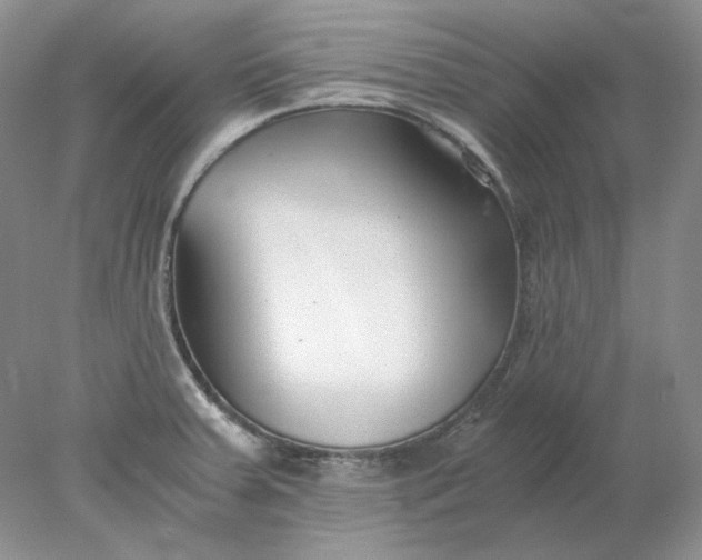 X0000078261379200611171953