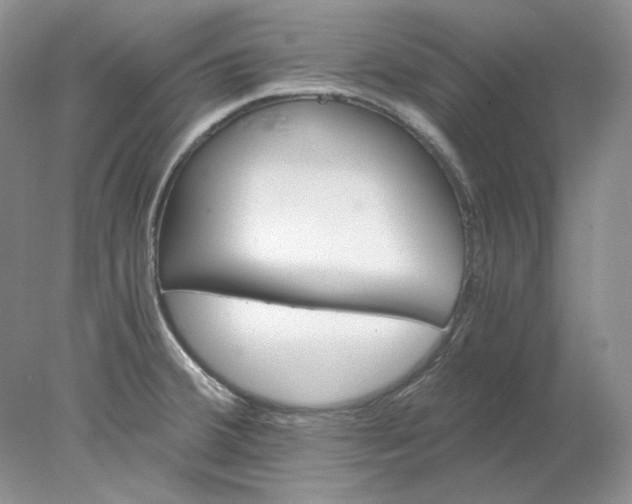X0000078261380200611171953