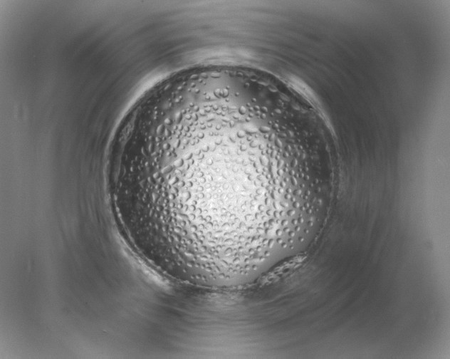 X0000078261384200611171953