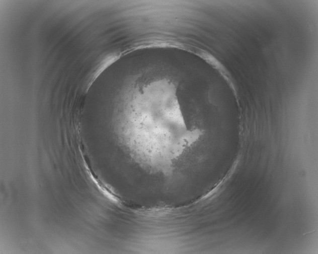 X0000078261385200611171953