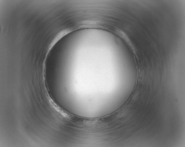X0000078261386200611171953