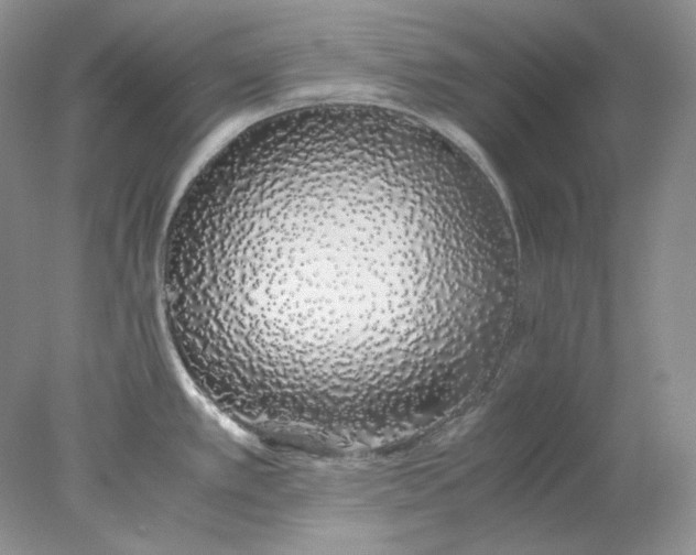 X0000078261389200611171953