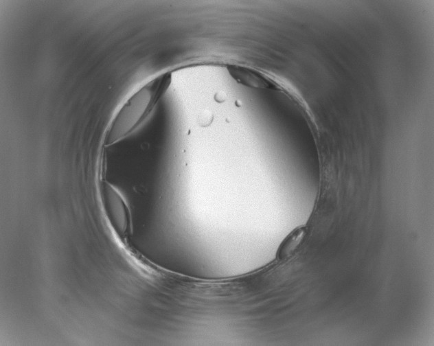 X0000078261391200611171953