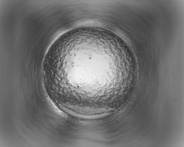 X0000078261392200611171953