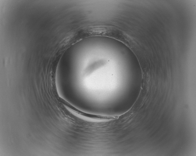 X0000078261394200611171952