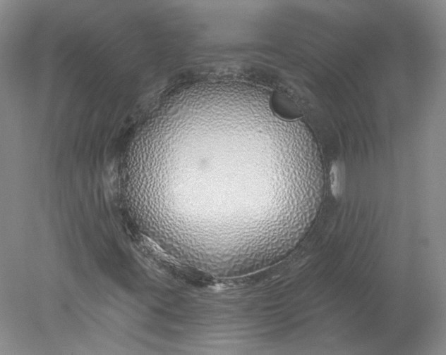 X0000078261395200611171952