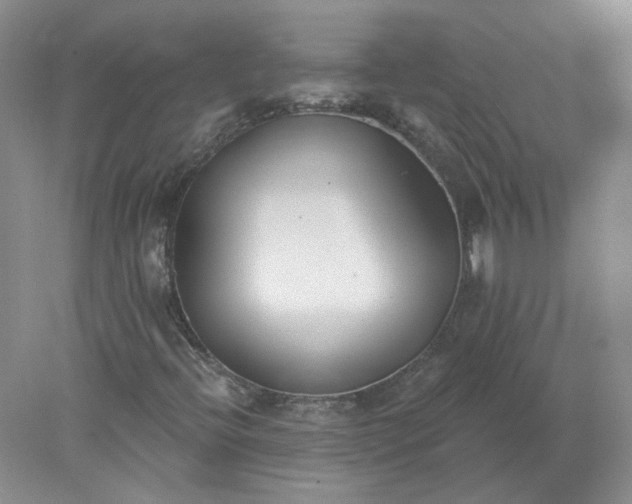 X0000078261396200611171952