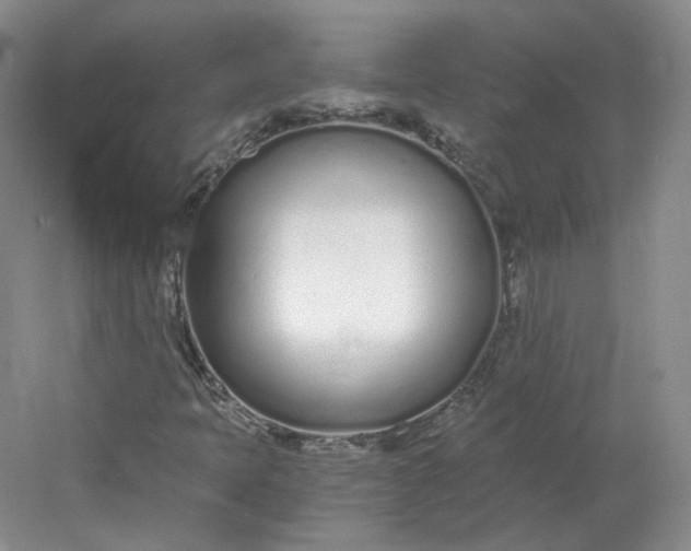 X0000078261397200611171952