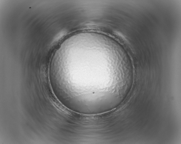X0000078261403200611171953