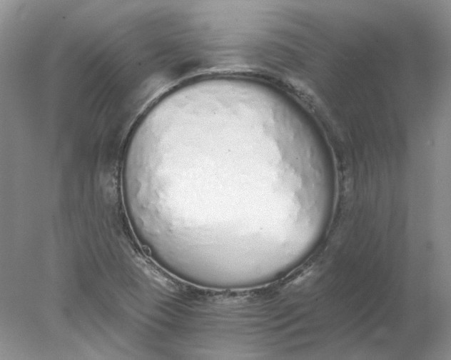 X0000078261409200611171953