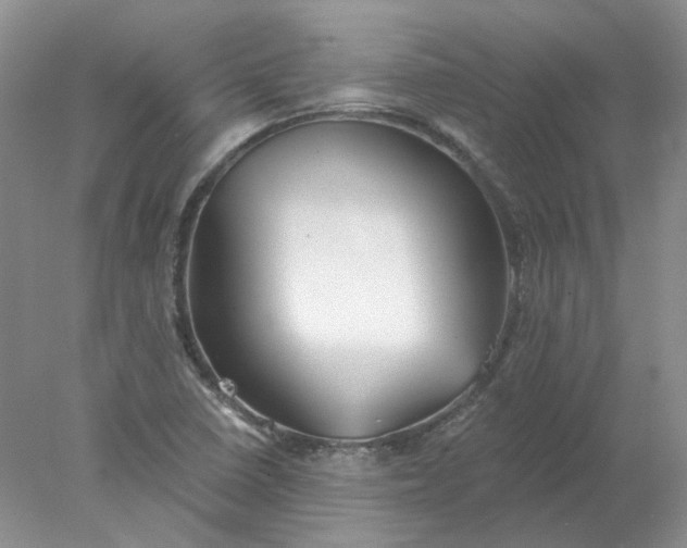 X0000078261410200611171953