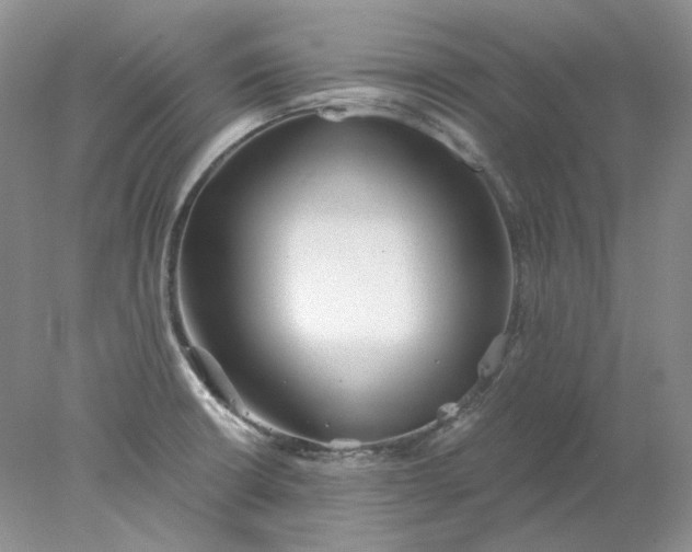 X0000078261426200611171953