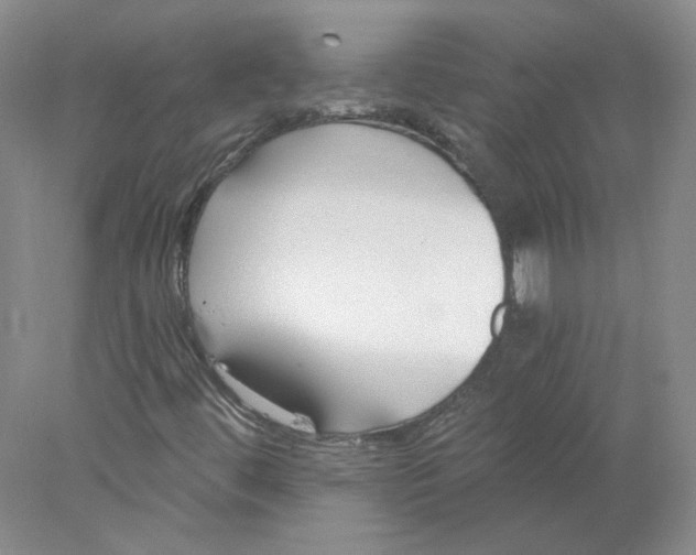 X0000078261444200611171952