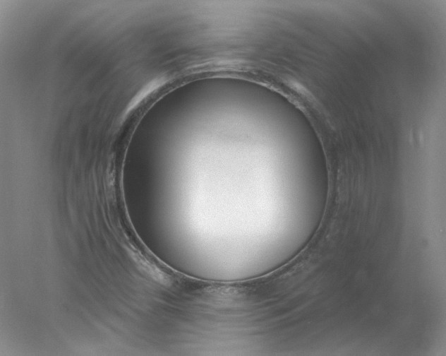 X0000078261450200611171952