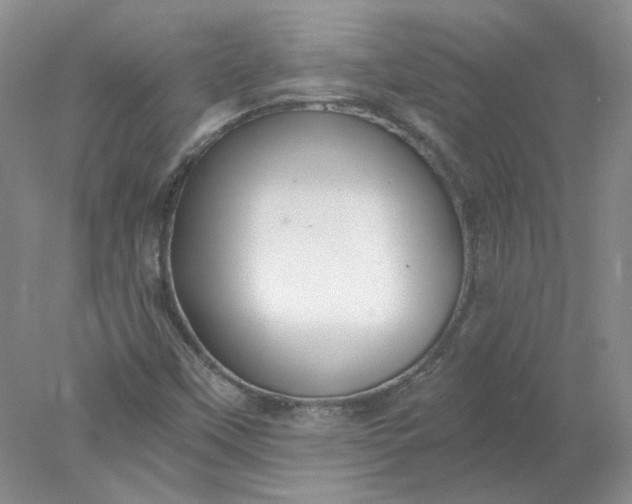 X0000078261451200611171952