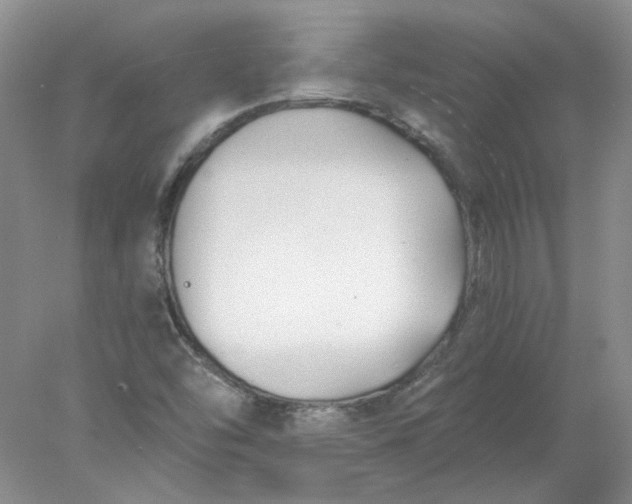 X0000078261454200611171952