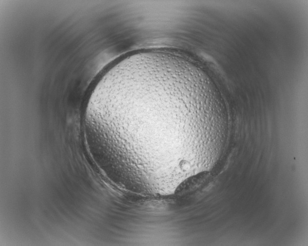 X0000078261457200611171952