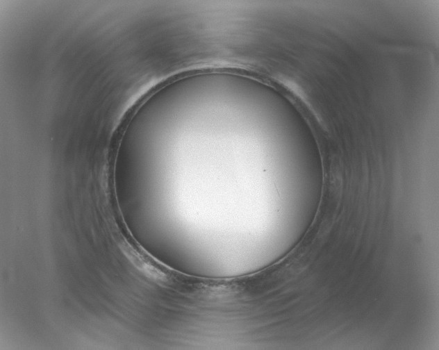 X0000078261460200611171952
