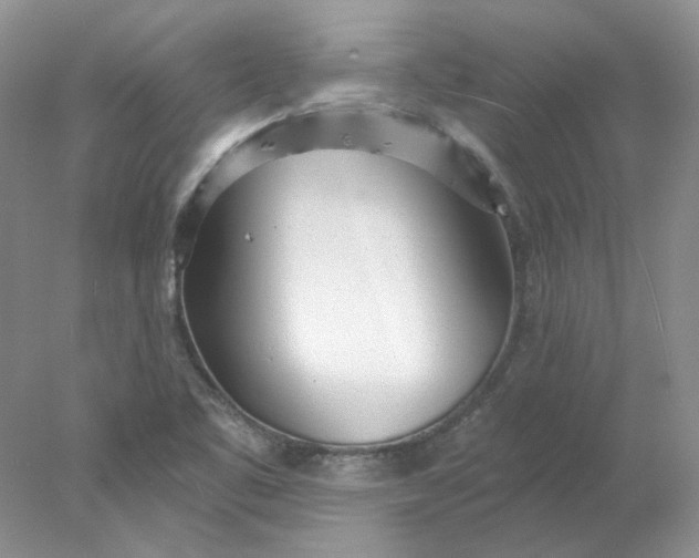 X0000078261461200611171952