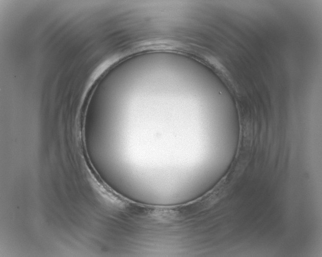 X0000078261466200611171952