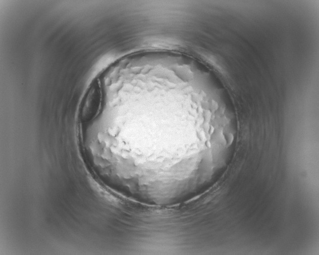 X0000078261471200611171952