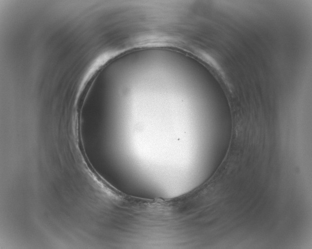 X0000078261472200611171952