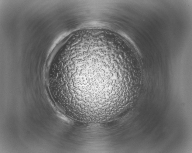 X0000078261477200611171952