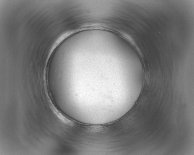 X0000078261482200611171952