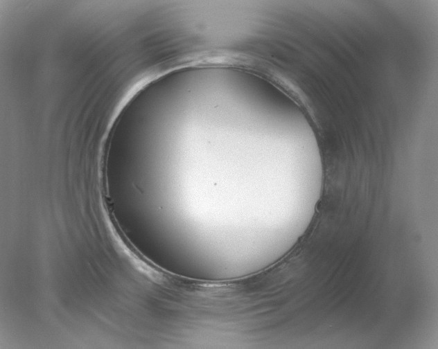 X0000078261483200611171952