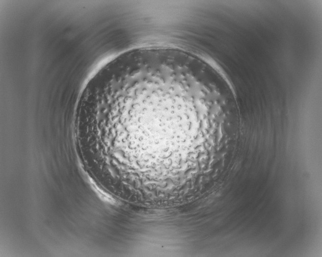 X0000078261485200611171952