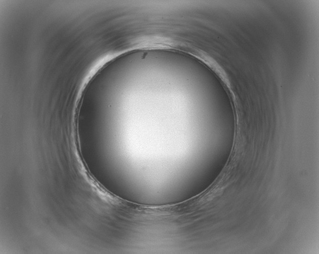 X0000078261488200611171952