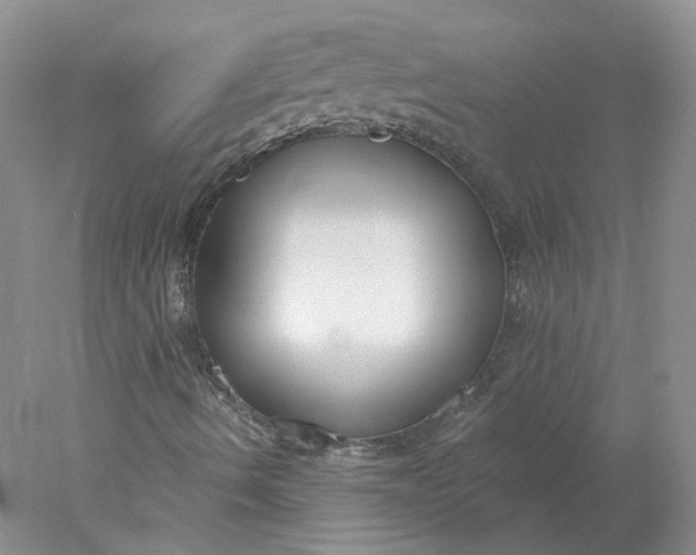 X0000078261490200611171951