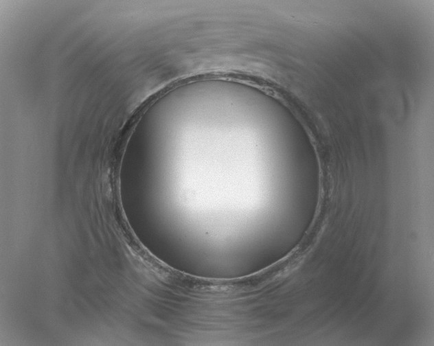 X0000078261497200611171951