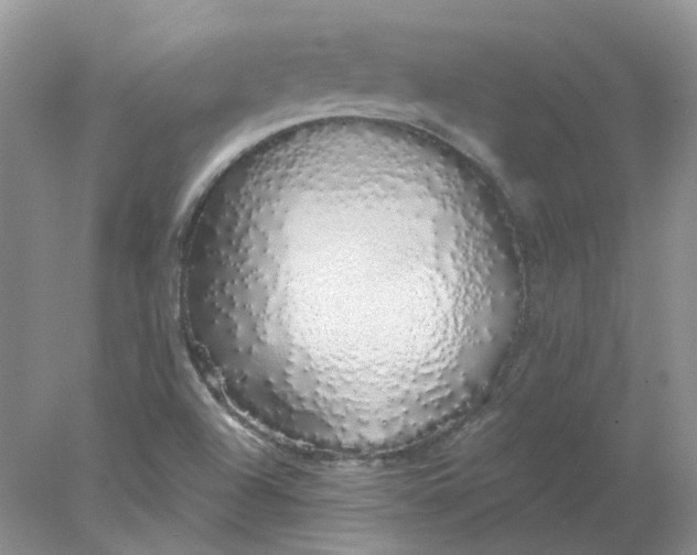 X0000078261504200611171951